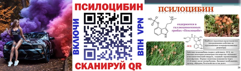 Псилоцибиновые грибы мицелий  Иланский 